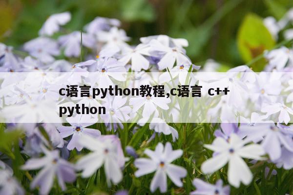 c语言python教程,c语言 c++ python