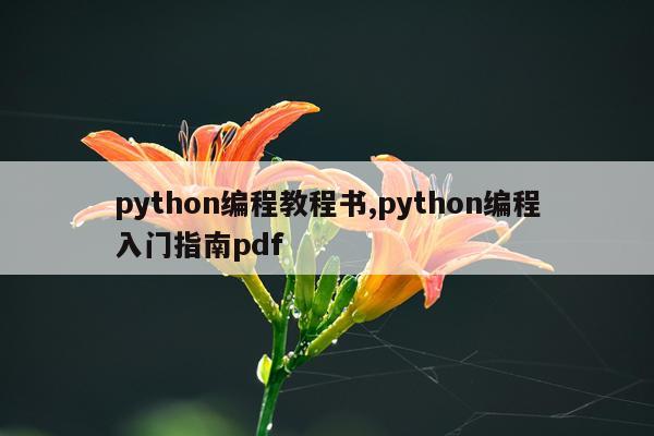 python编程教程书,python编程入门指南pdf