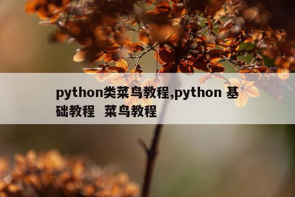 python类菜鸟教程,python 基础教程  菜鸟教程