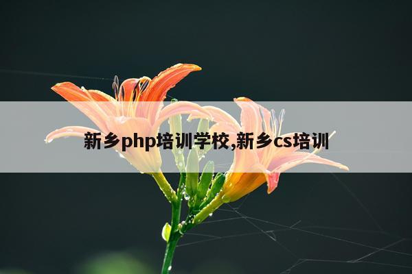 新乡php培训学校,新乡cs培训