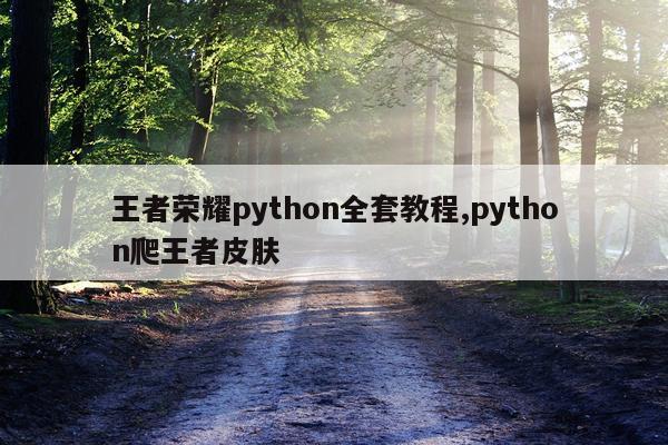 王者荣耀python全套教程,python爬王者皮肤