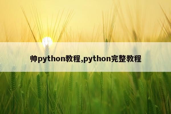 帅python教程,python完整教程