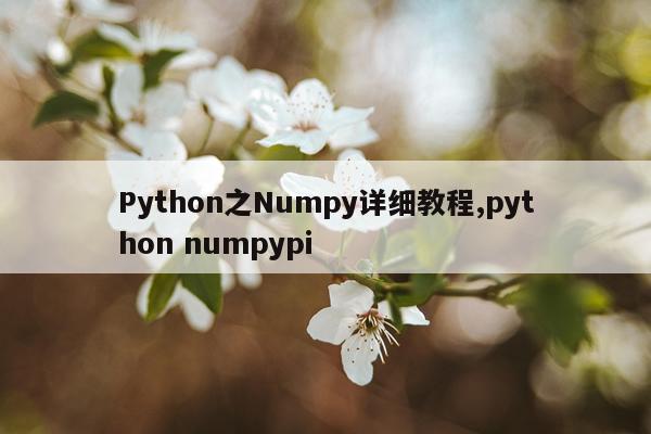 Python之Numpy详细教程,python numpypi