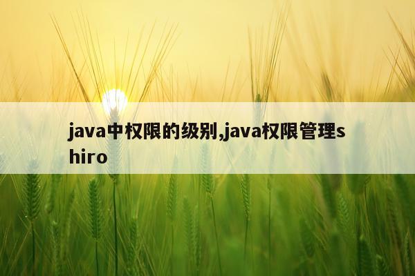 java中权限的级别,java权限管理shiro