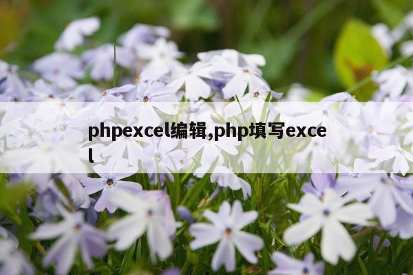 phpexcel编辑,php填写excel