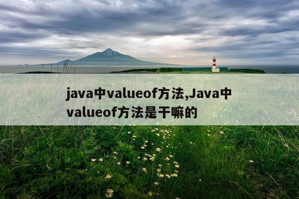 java中valueof方法,Java中valueof方法是干嘛的