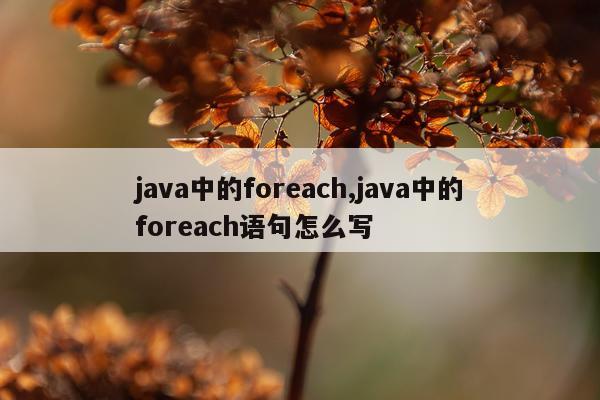 java中的foreach,java中的foreach语句怎么写