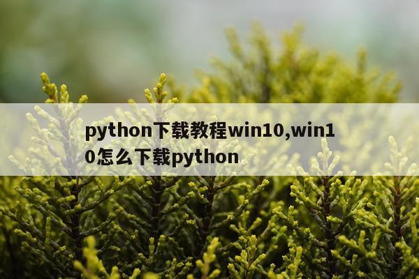 python下载教程win10,win10怎么下载python
