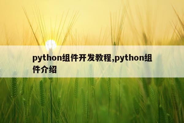 python组件开发教程,python组件介绍
