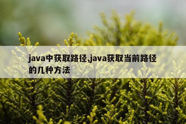java中获取路径,java获取当前路径的几种方法