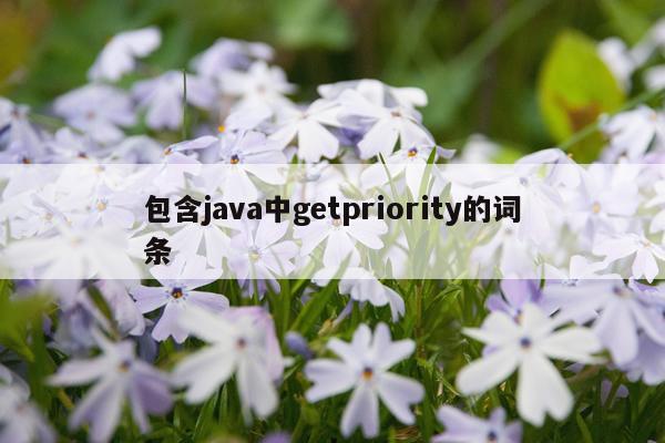 包含java中getpriority的词条