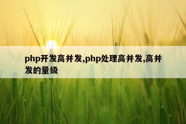 php开发高并发,php处理高并发,高并发的量级