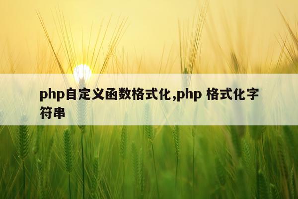 php自定义函数格式化,php 格式化字符串