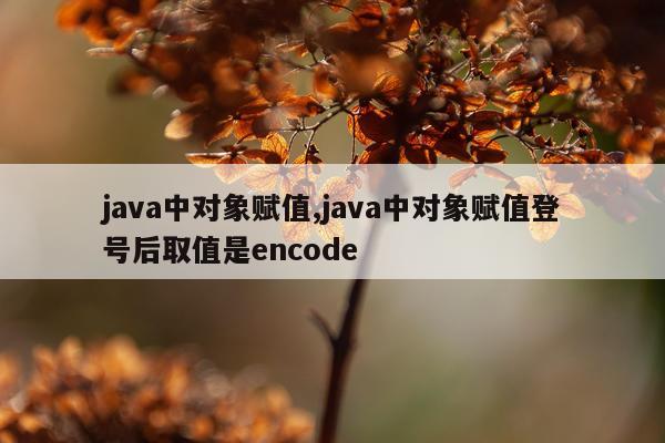 java中对象赋值,java中对象赋值登号后取值是encode