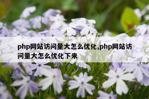 php网站访问量大怎么优化,php网站访问量大怎么优化下来