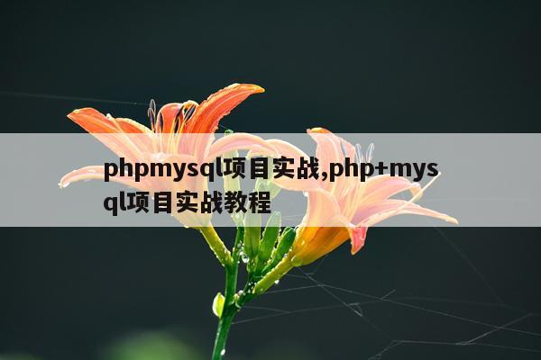 phpmysql项目实战,php+mysql项目实战教程