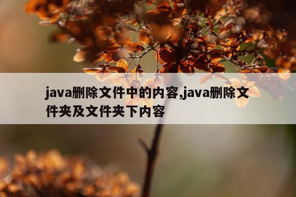 java删除文件中的内容,java删除文件夹及文件夹下内容