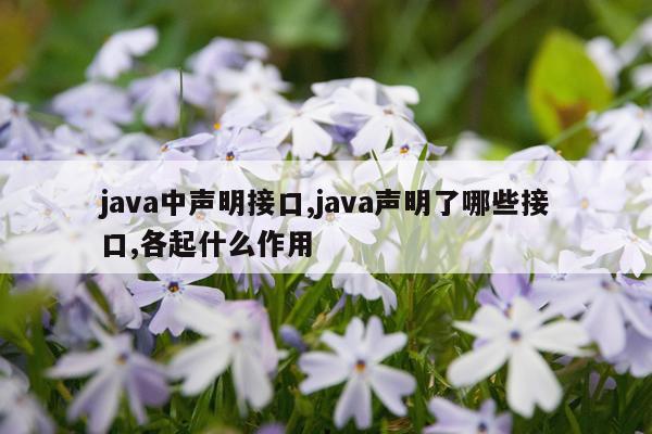 java中声明接口,java声明了哪些接口,各起什么作用