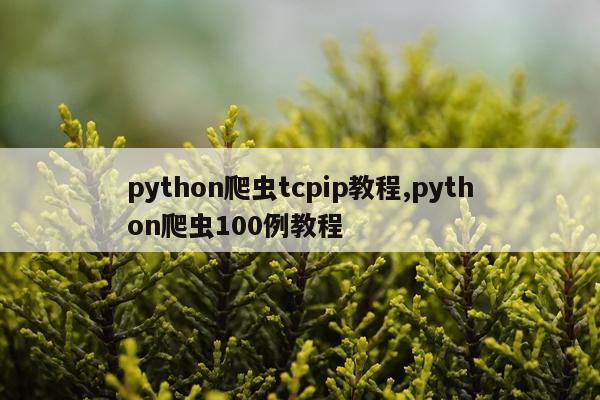 python爬虫tcpip教程,python爬虫100例教程