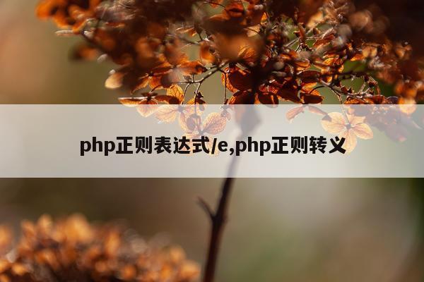 php正则表达式/e,php正则转义