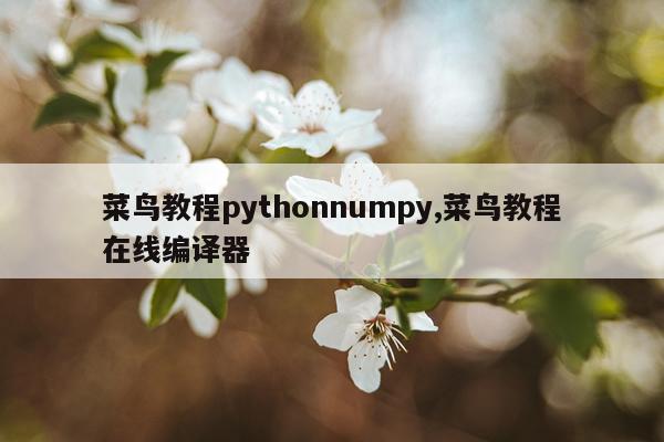菜鸟教程pythonnumpy,菜鸟教程在线编译器