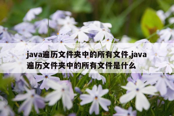 java遍历文件夹中的所有文件,java遍历文件夹中的所有文件是什么