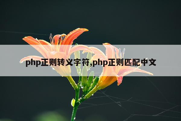 php正则转义字符,php正则匹配中文