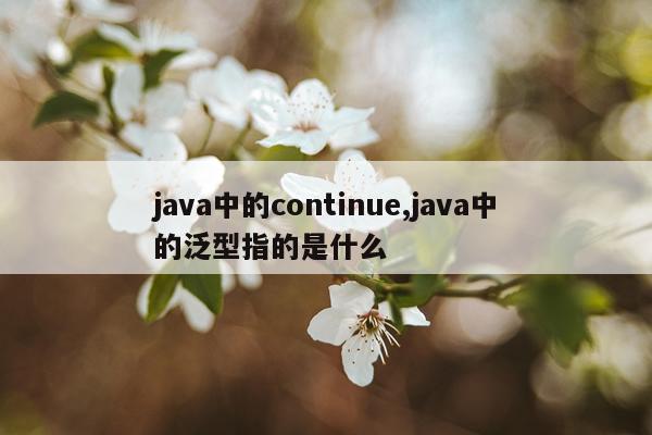 java中的continue,java中的泛型指的是什么