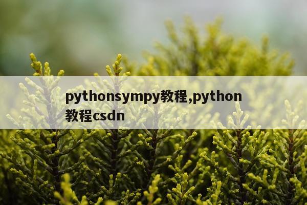 pythonsympy教程,python教程csdn