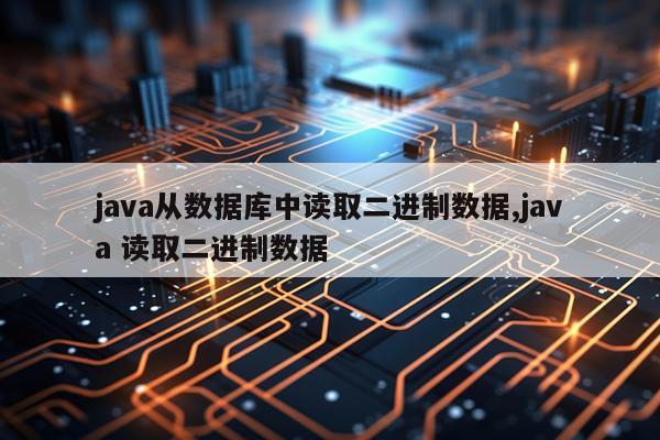 java从数据库中读取二进制数据,java 读取二进制数据