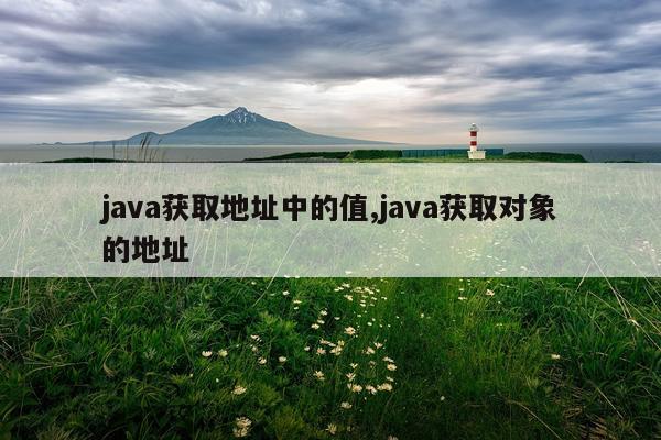 java获取地址中的值,java获取对象的地址