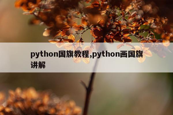 python国旗教程,python画国旗讲解