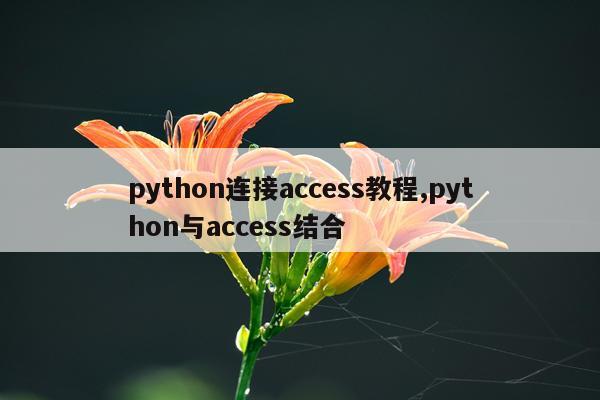 python连接access教程,python与access结合