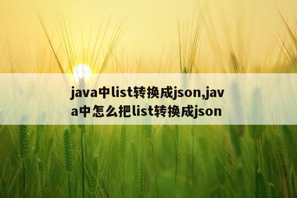 java中list转换成json,java中怎么把list转换成json