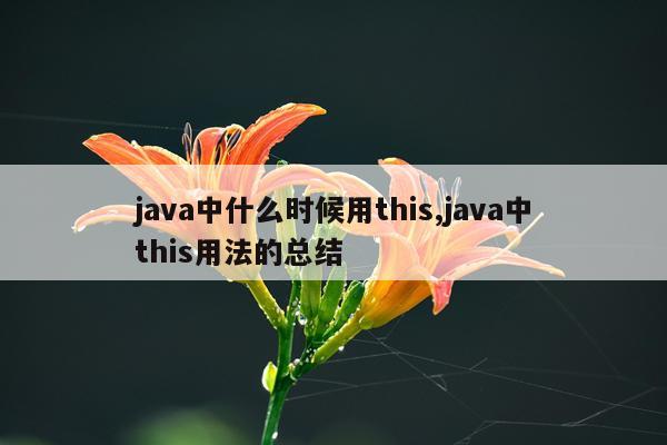 java中什么时候用this,java中this用法的总结