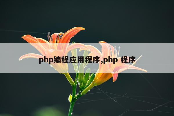 php编程应用程序,php 程序