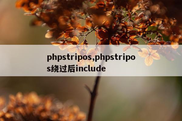 phpstripos,phpstripos绕过后include