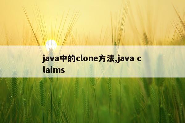 java中的clone方法,java claims