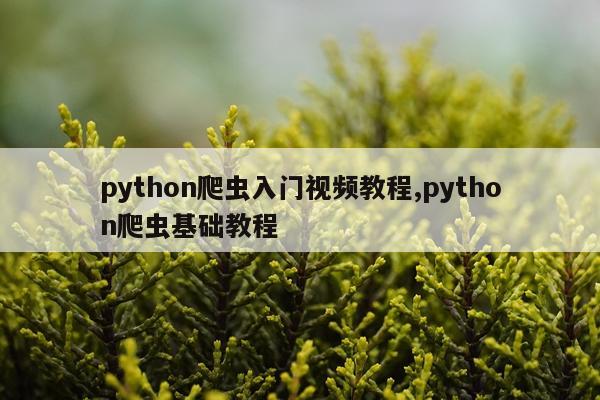 python爬虫入门视频教程,python爬虫基础教程