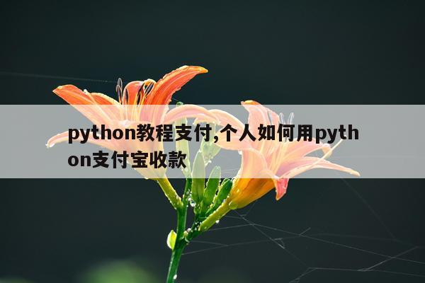 python教程支付,个人如何用python支付宝收款