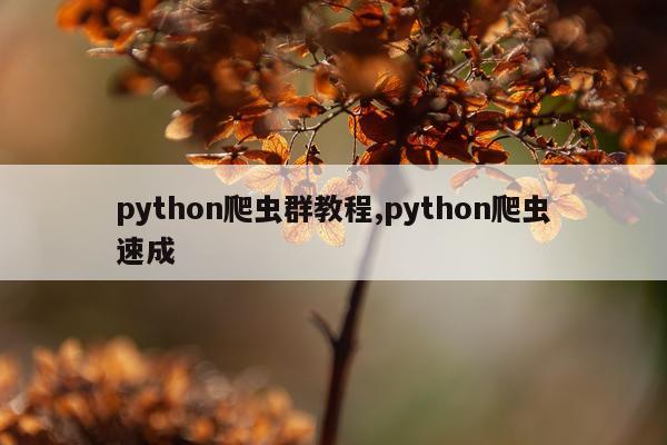 python爬虫群教程,python爬虫速成
