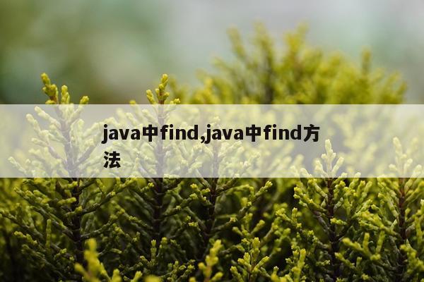 java中find,java中find方法