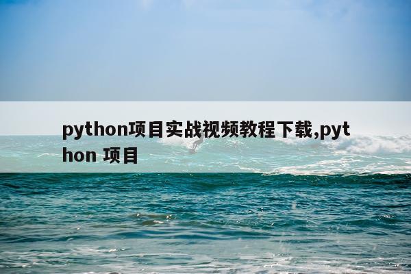 python项目实战视频教程下载,python 项目