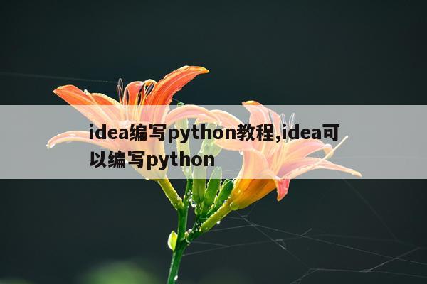 idea编写python教程,idea可以编写python