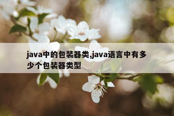java中的包装器类,java语言中有多少个包装器类型