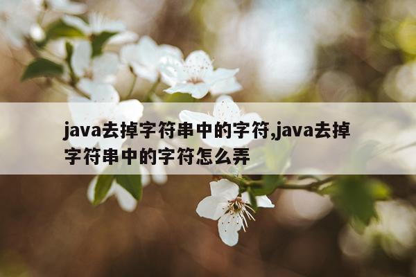 java去掉字符串中的字符,java去掉字符串中的字符怎么弄