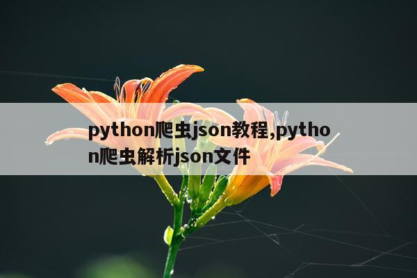 python爬虫json教程,python爬虫解析json文件