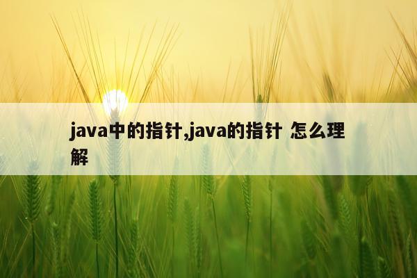 java中的指针,java的指针 怎么理解