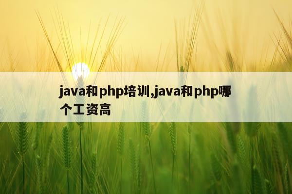 java和php培训,java和php哪个工资高