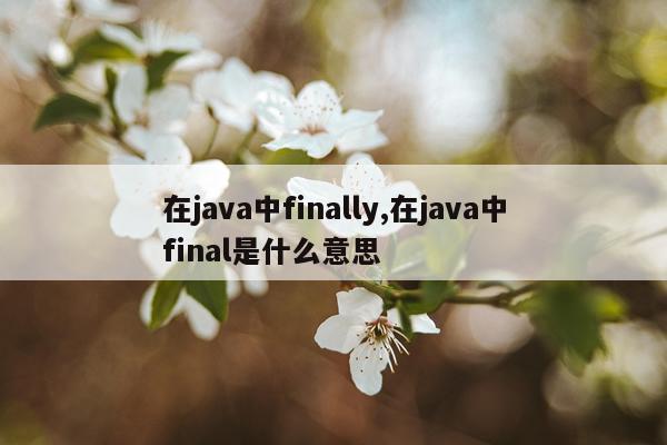 在java中finally,在java中final是什么意思